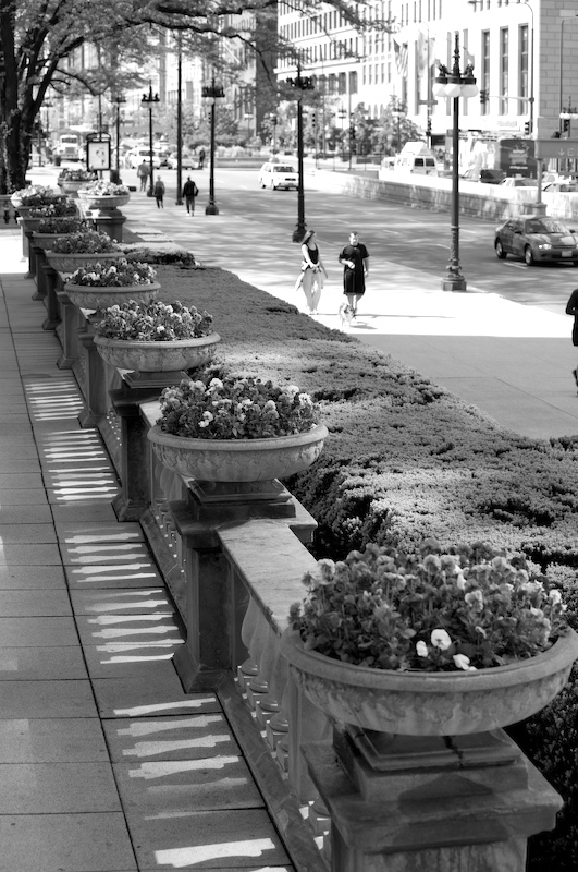 Michigan Ave