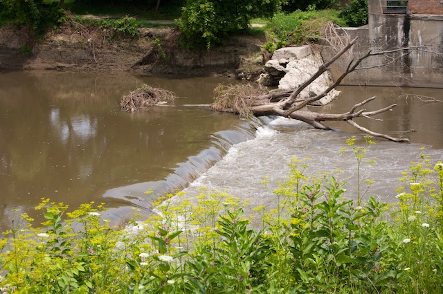 flood_01.jpg