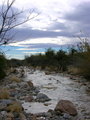 Bear Creek