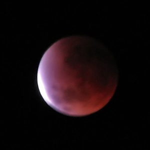 IMG_3012_filtered.jpg