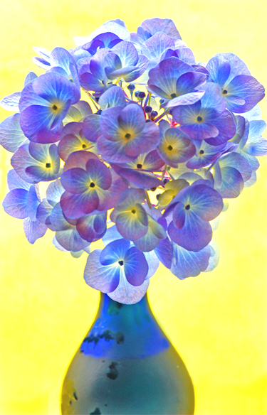 Blue on Blue