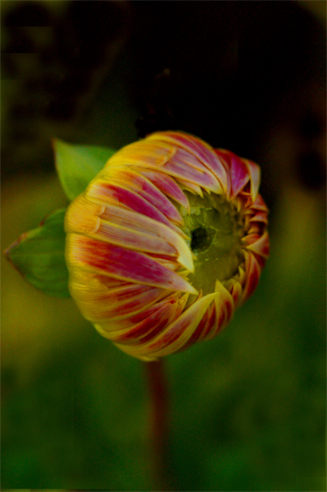 About to Open