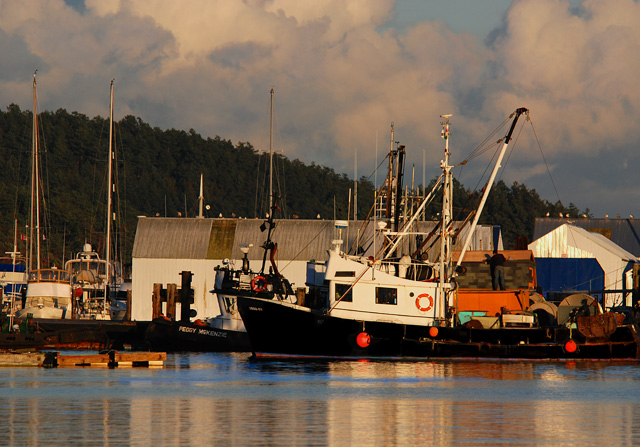 Harbour Scene