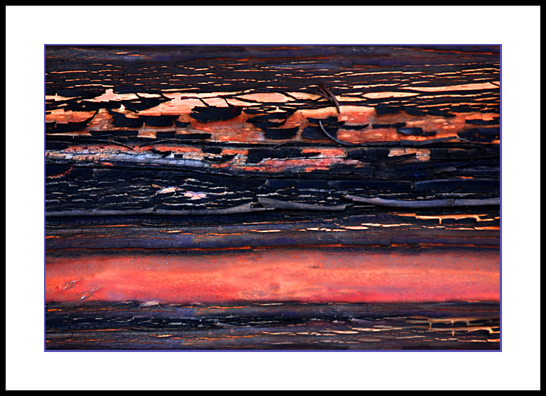 Arbutus Bark