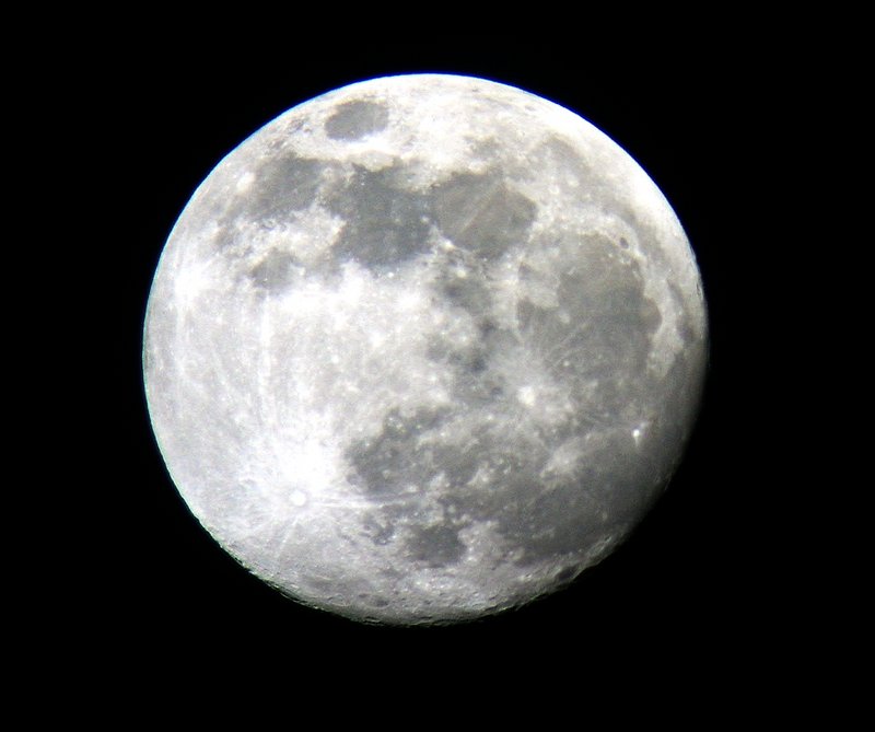 PICT2445.jpg
