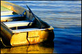 DSC_0220 a.jpg