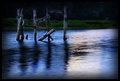 DSC_0068-river_pilings_01_web.jpg