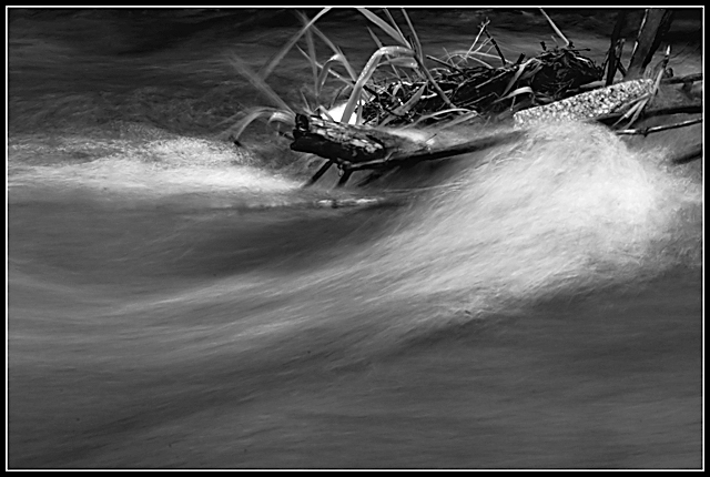Day 18 B&W - Haycreek