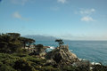 Monterey