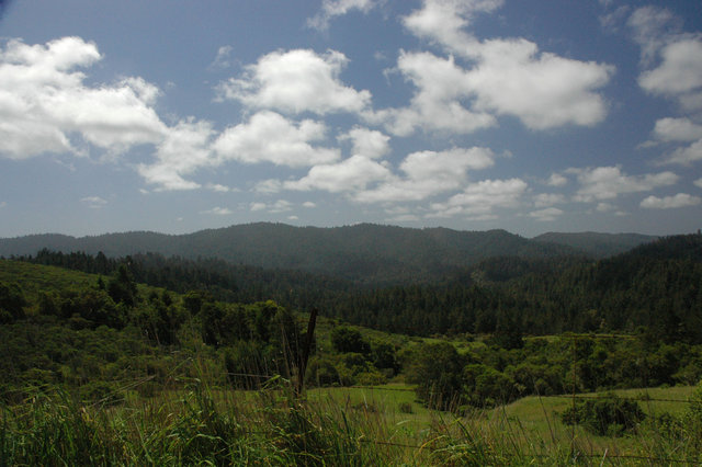 Santa Cruz