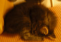 DSC_0017-blur.jpg
