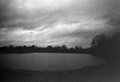 Newdigate-2.jpg