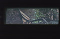 Out The Window