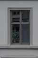 Windows in Windows