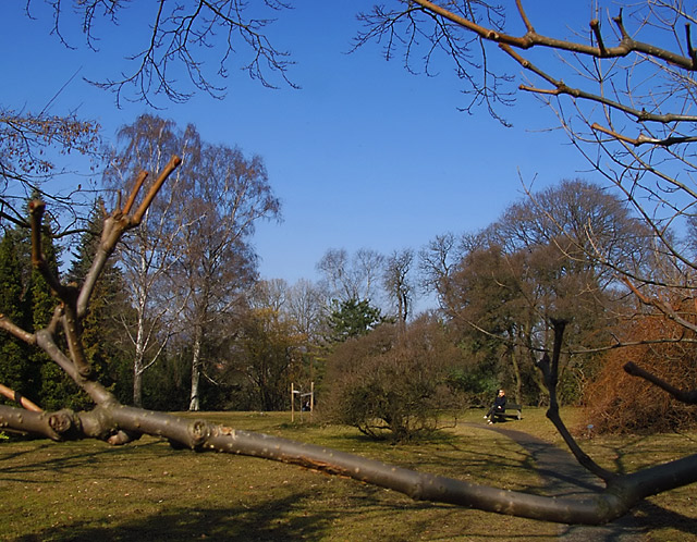 March Sunlight