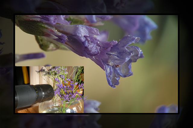 lens reversal