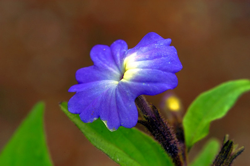 DSC_0011-(2)-ed.jpg