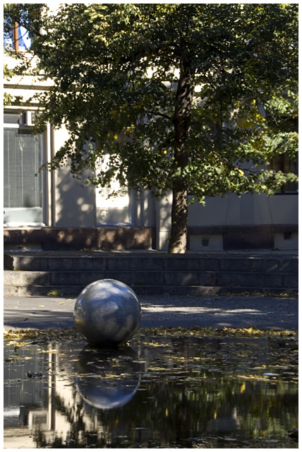 Egg in a pond 2