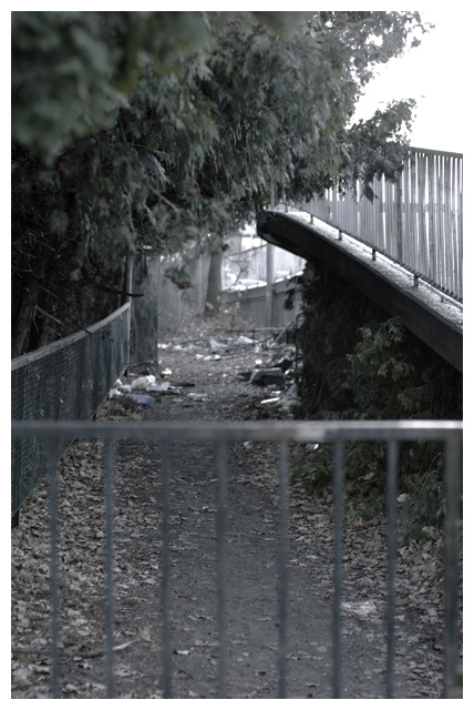 real-estate