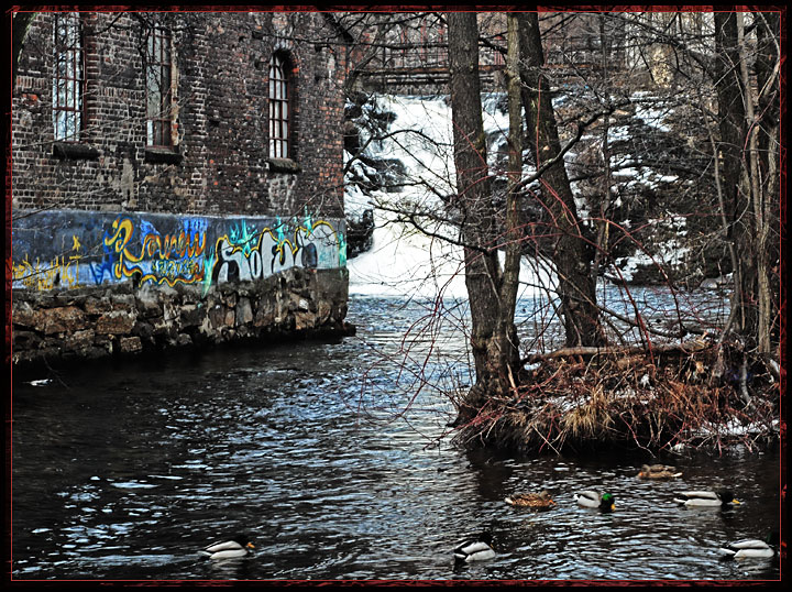 watermarks