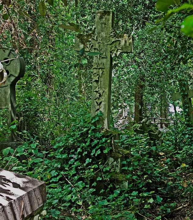 Art and Nature