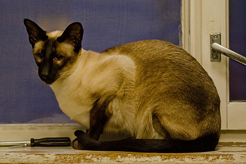 DSC_0049.fw.1024.300