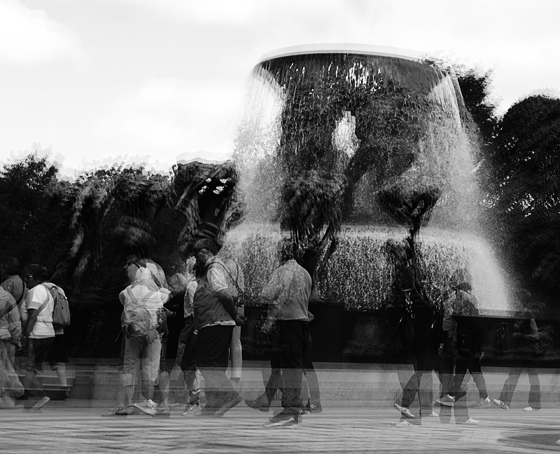 DSC_0126.fw.800