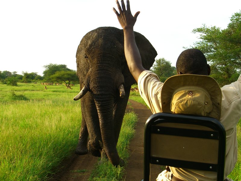 South Africa 085.jpg