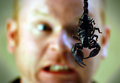 FEAR-FACTOR-300505-001-dpc.jpg