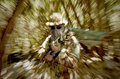 PARK-RANGER-010703-copy.jpg