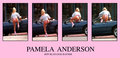PAM-PINK-POSTER-DPC.jpg
