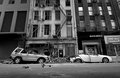 ORLEANS-001-CARS.jpg