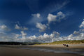 HORSE-WALES-160807-001-dpc.jpg