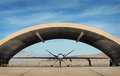 PREDATOR-100308-009-dpc.jpg