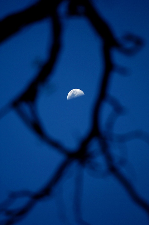 MAN-IN-MOON-copy.jpg