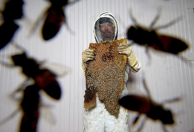 KILEER-BEES-210507-001.jpg