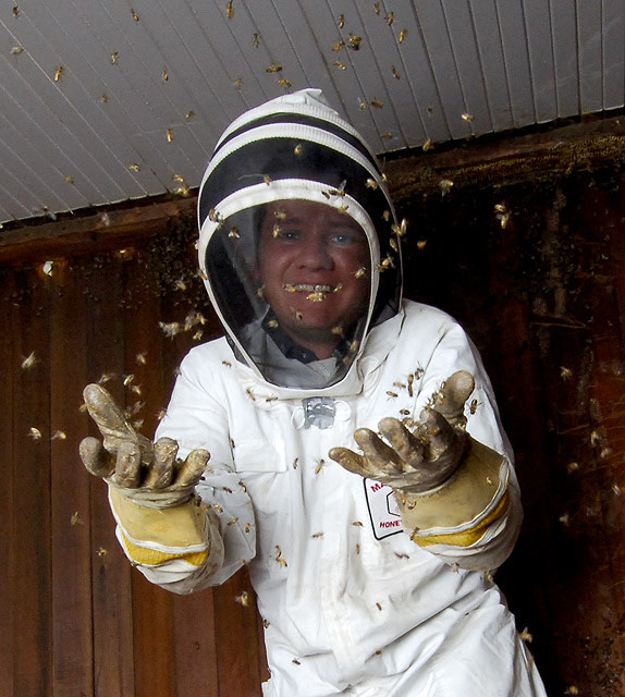 JEFF-BEES.jpg