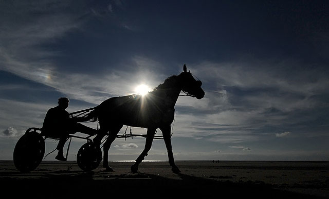 HORSE-WALES-001-DPC.jpg
