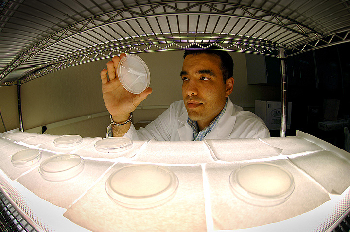 BIO-FUEL-120608-DPC1.jpg