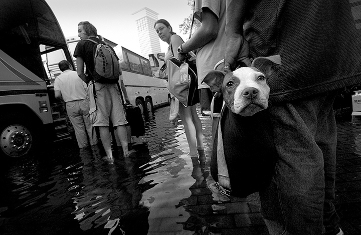 Hurricane Katrina Victims