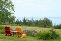 Adirondack Chairs Overlooking Whale Cove II