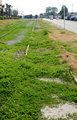 Abandonned Rail