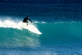 Surfer IV