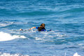 Surfer VIII