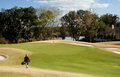 Lone Golfer in Late Afternoon
