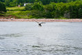 Eagle Landing