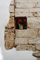 Flower Pot in Niche