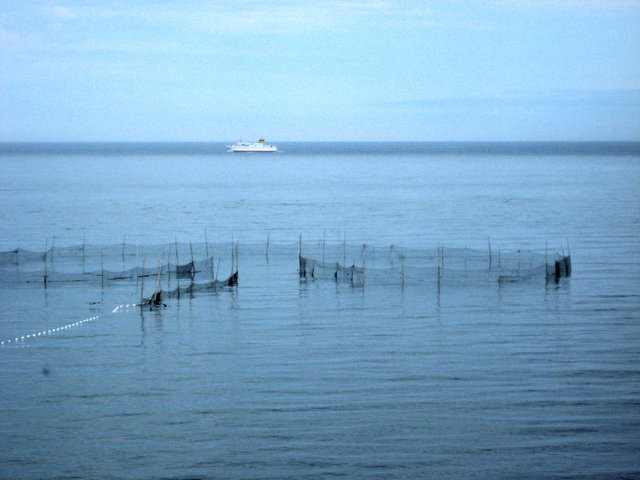 Fish Weir in the Bay of Fundy Off Grand Manan Island
