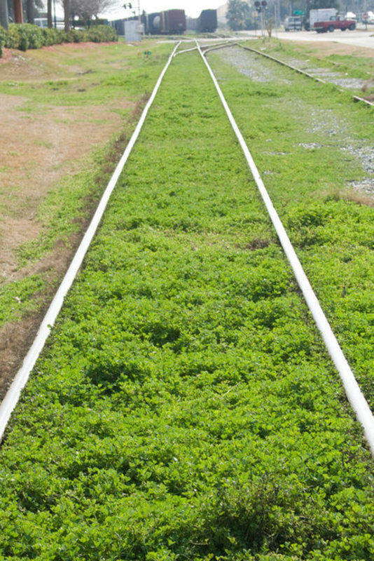 Branch Line