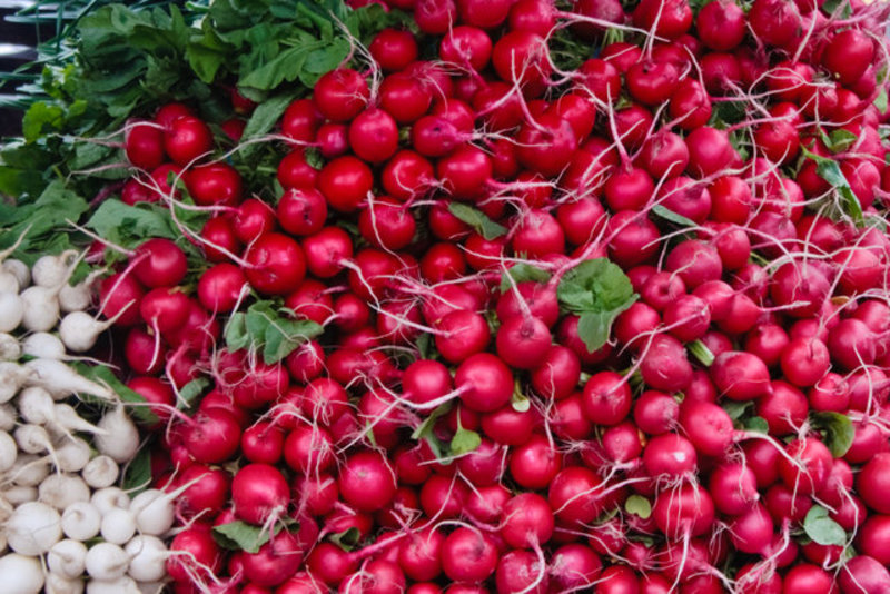 Radishes  & Shallots